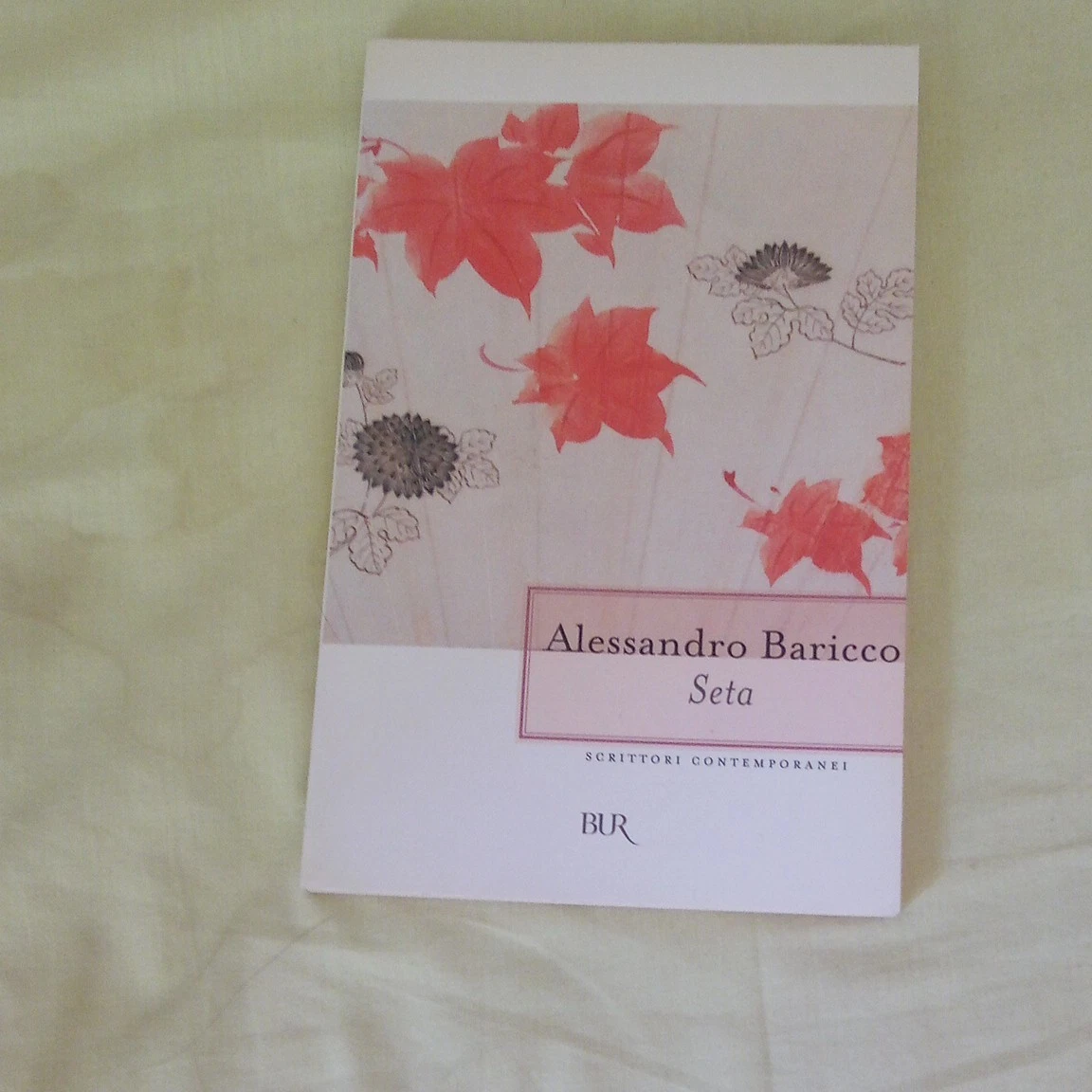 Seta — Alessandro Baricco, BUR
